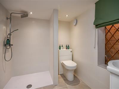 Picture 29